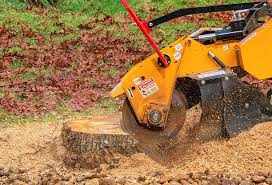 Lawn Edging in New Tazewell, TN